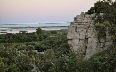 Le Creux de Miège, un patrimoine naturel et plus encore