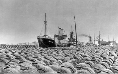 Sète pose un regard sur les 350 ans de son port