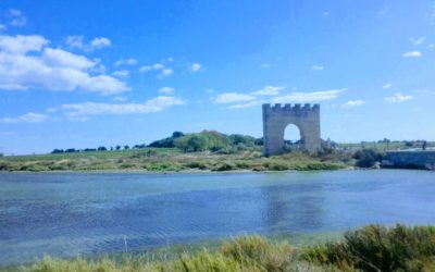 Il suffit de passer le pont… De 2018 à 2019