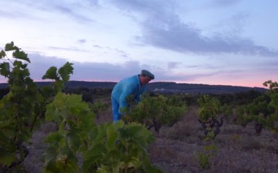 « Donner du rêve à l’ouvrage»