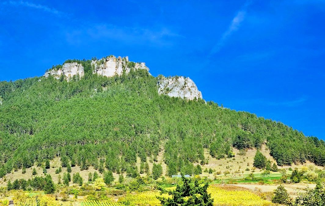 L’extension de l’IGP Cévennes, ou comment reconstruire les contours d’un vignoble historique
