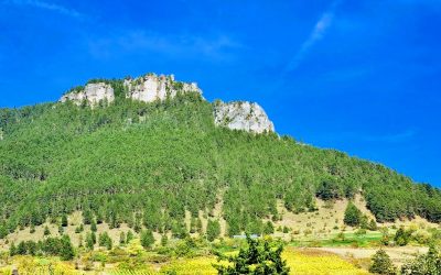 L’extension de l’IGP Cévennes, ou comment reconstruire les contours d’un vignoble historique