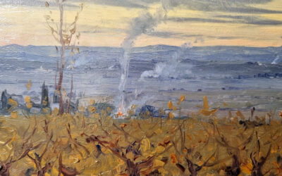 2/ Gustave Fayet, la vigne au service des arts et des patrimoines