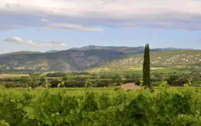 Un des plus beaux terroirs du Languedoc en conférence